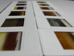 transparencies: bands of paint by jade stout