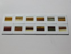 transparencies: bands of paint by jade stout