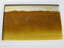 transparencies: bands of paint by jade stout