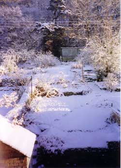 Winters Weary Snaa'